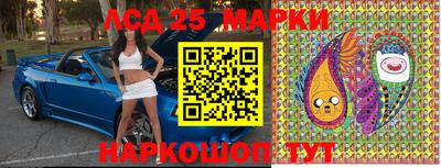 шишки Нарткала