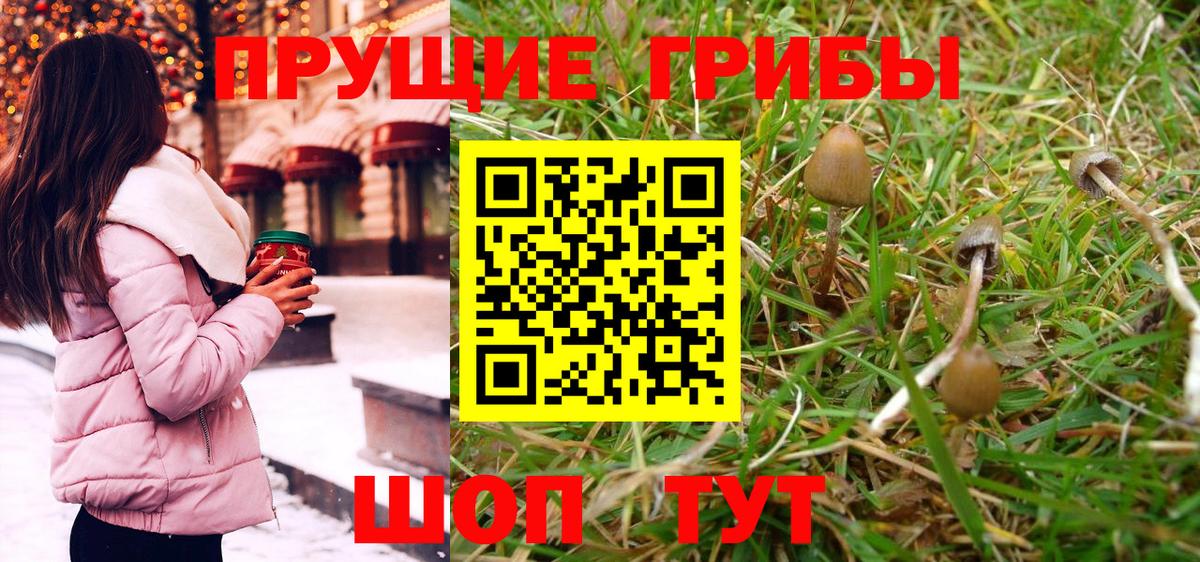Псилоцибиновые грибы Magic Shrooms Хабаровск