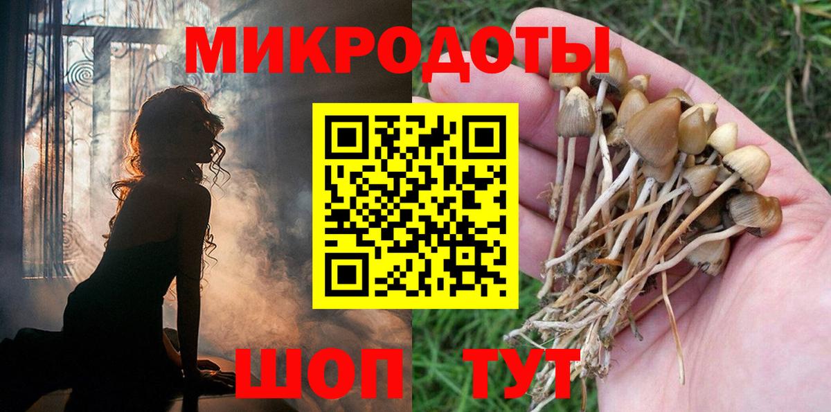 Галлюциногенные грибы Psilocybe  Вход с VPN  Хабаровск 